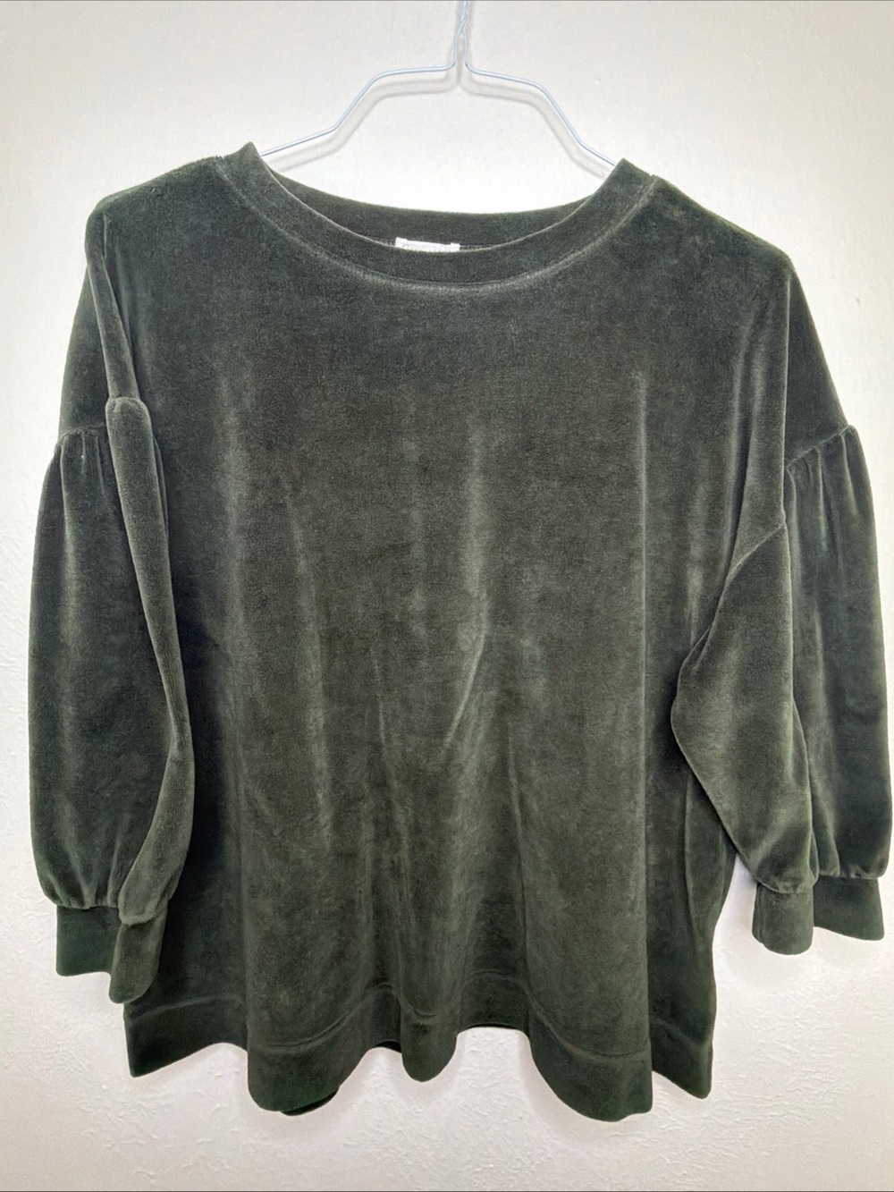 Garnet Hill dark green Moonrise Velour Pullover Size Large